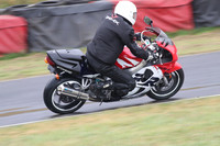 Fowlers 0787