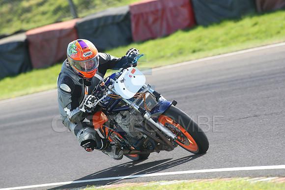 BIKES 1734