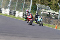 BIKES 1313