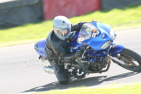 BIKES 1633
