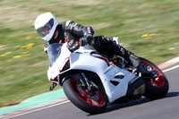 BIKES 0980