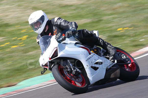 BIKES 0980