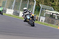 BIKES 1346