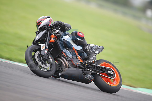 BIKES 1161