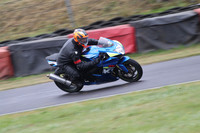 Fowlers 0690