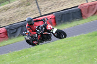 Fowlers 0671