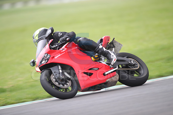 BIKES 1155