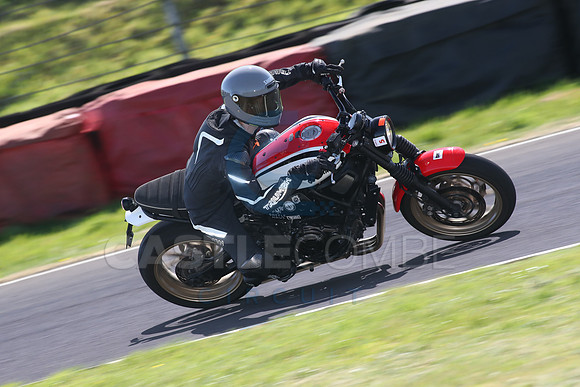 BIKES 1583