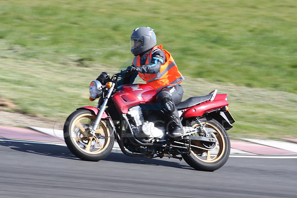 BIKES 2137