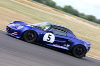 ( 5 ) Lotus blue