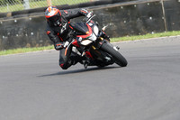 BIKES 0481