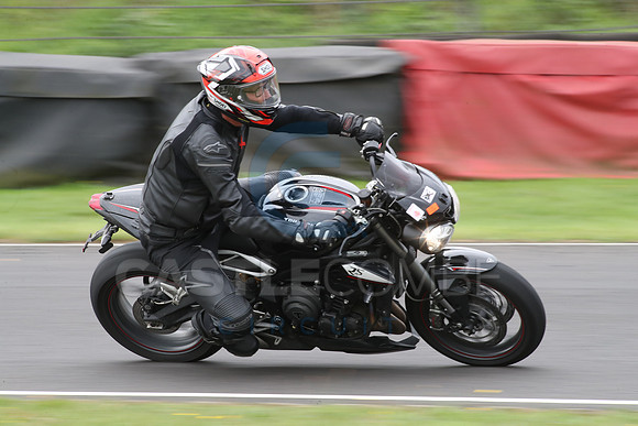 BIKES 1381