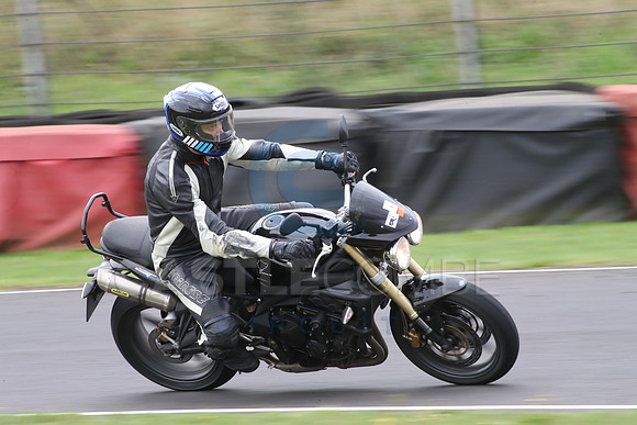 BIKES 1384