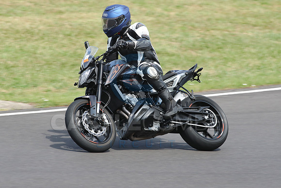 BIKES 0989