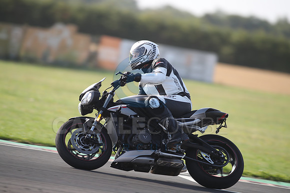 BIKES 1195