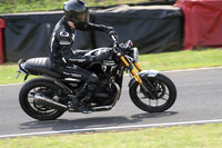 Triumph black