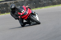 BIKES 0491