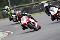 BIKES 0981