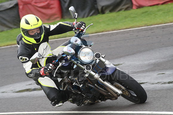 BIKES 1239