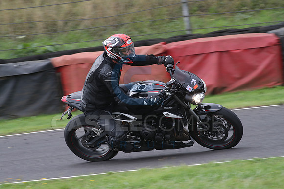 BIKES 1246