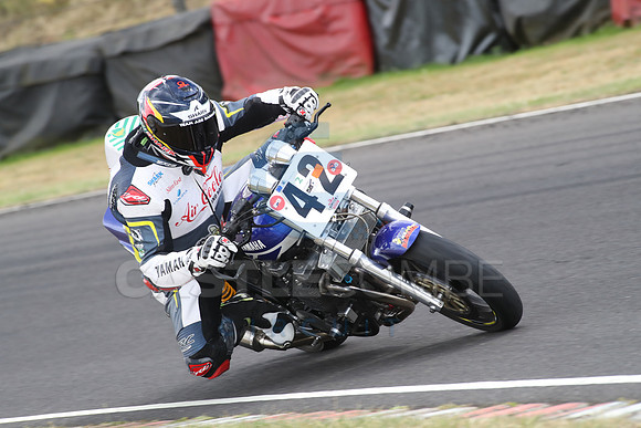 BIKES 2183