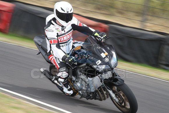 BIKES 2196