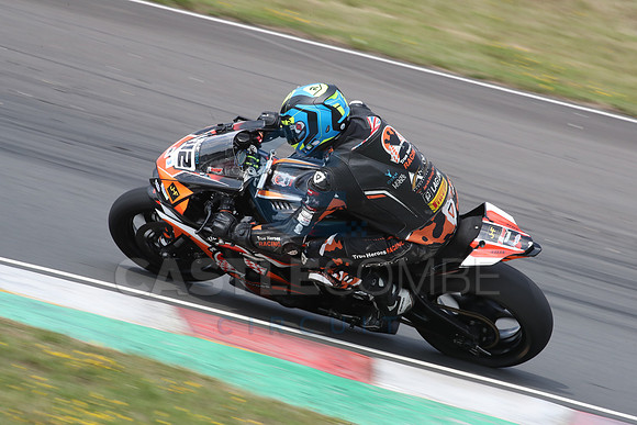 BIKES 1174