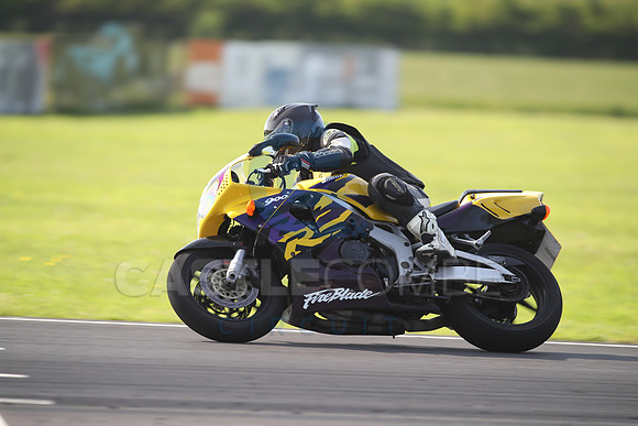BIKES 1374