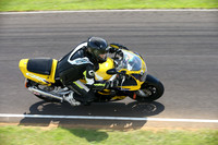 BIKES 2341