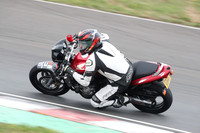BIKES 1036