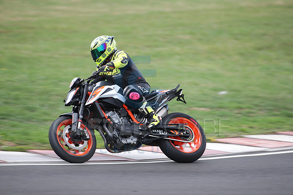 BIKES 1529