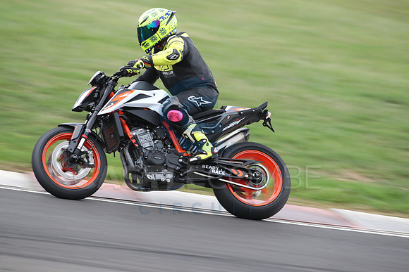 BIKES 1561