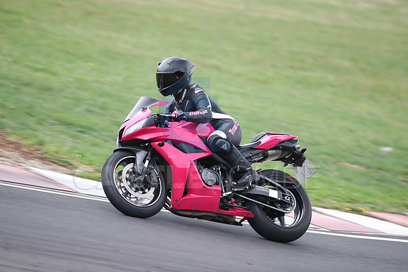 BIKES 1590