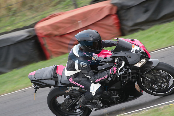 BIKES 1750