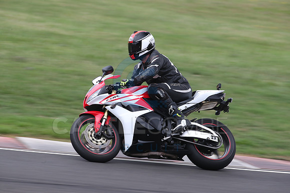 BIKES 1650
