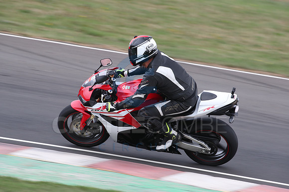 BIKES 1651