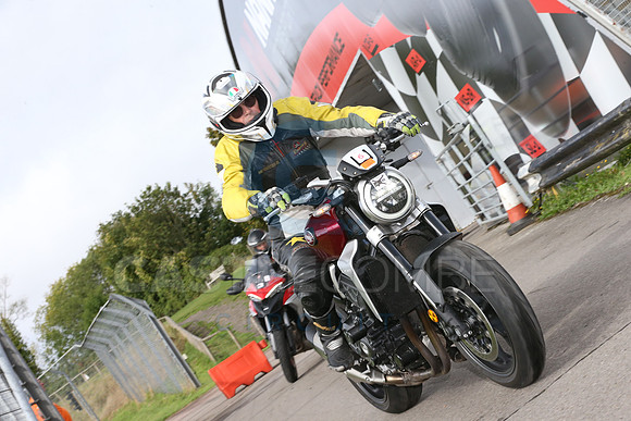 BIKES 0088