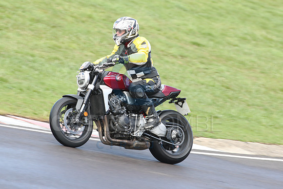 BIKES 0665