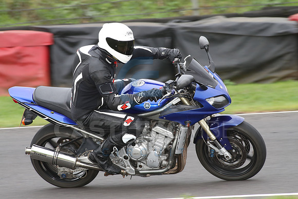BIKES 1310