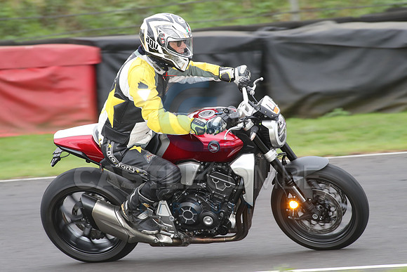 BIKES 1311