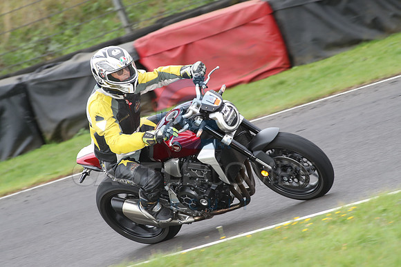 BIKES 1339