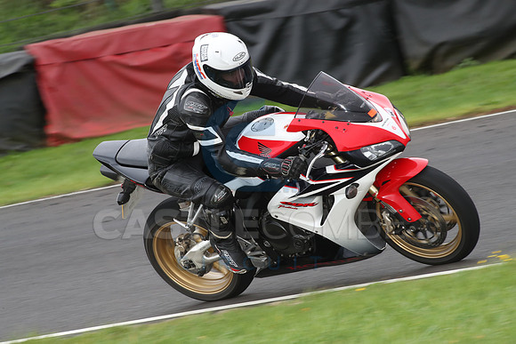 BIKES 1353