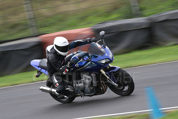 BIKES 1356
