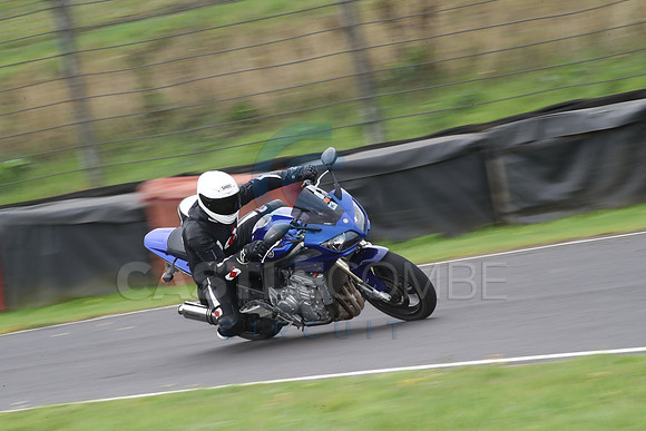 BIKES 1355