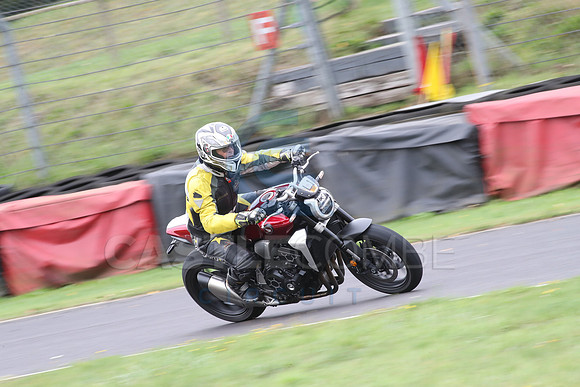 BIKES 1371