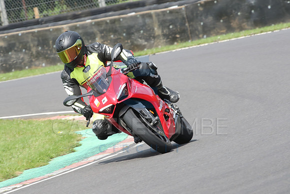 BIKES 0845