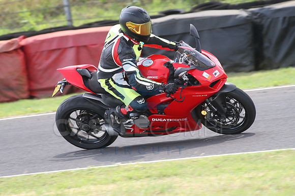 BIKES 1695
