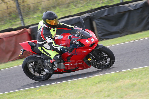 BIKES 1677