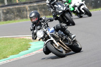 BIKES 0826