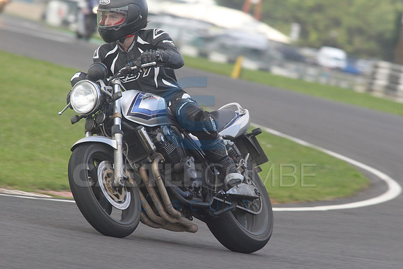 BIKES 1544